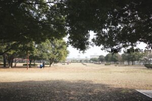中川公園Ａ地区
