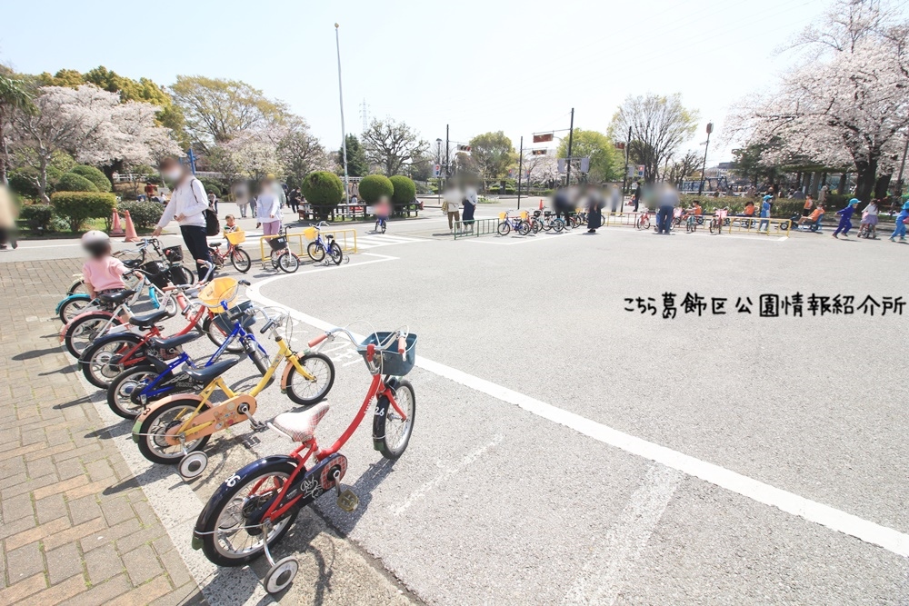 かつしかく 動物 自転車