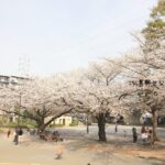 鎌倉公園