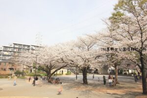 鎌倉公園