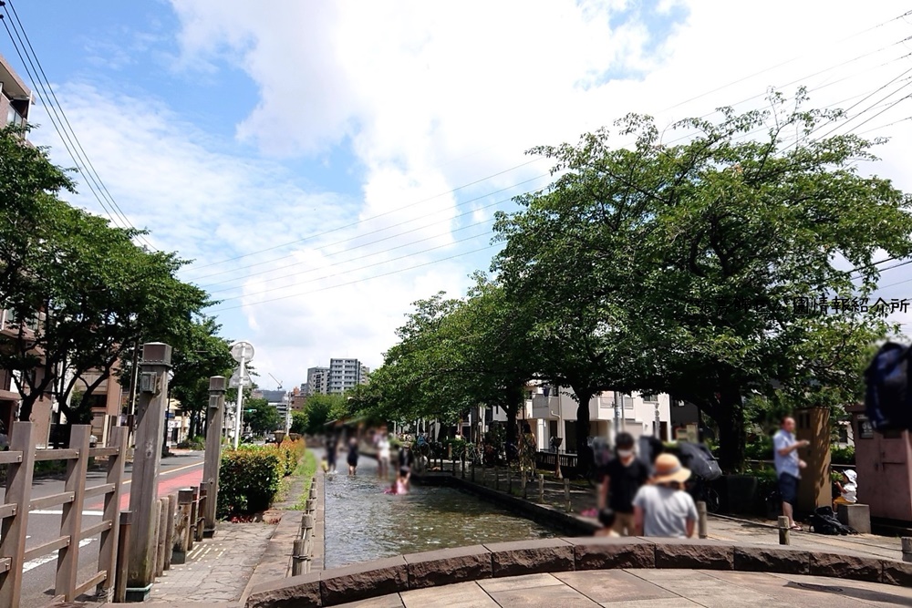 曳舟川親水公園の外観