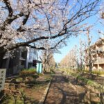 西亀有せせらぎ公園