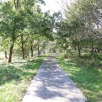 水元公園(水辺のさと)